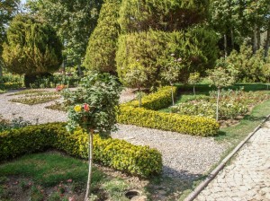Flower Garden (09)   