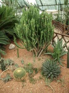 Flower Garden (10)   
