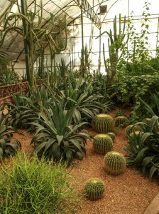 Flower Garden (11)   