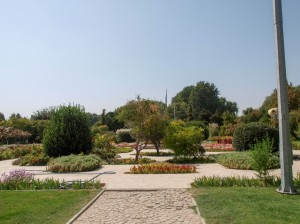Flower Garden (12)   