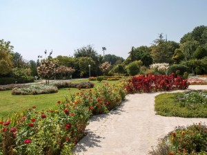 Flower Garden (13)   