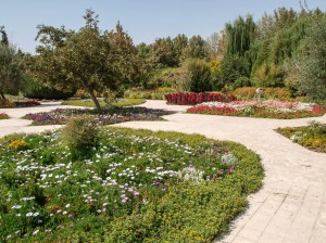 Flower Garden (14)   