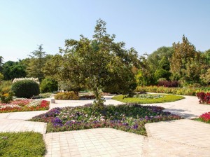 Flower Garden (15)   