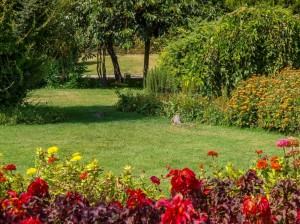 Flower Garden (16)   