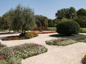 Flower Garden (19)   