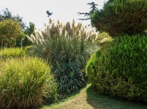 Flower Garden (20)   