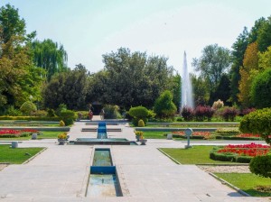 Flower Garden (21)  