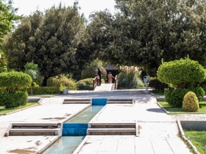 Flower Garden (22)
