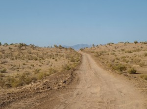 Maranjab desert (11)       
