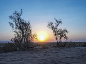 Matin Abad Desert Camp (18a)  