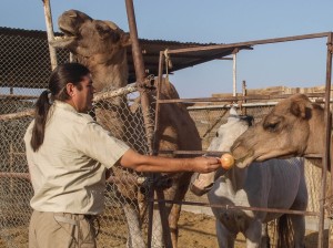 Matin Abad Desert Camp (21)  