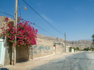 Bishapur (10)          