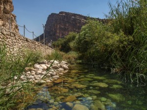 Bishapur (26)          