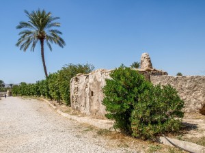 Bishapur (29)       