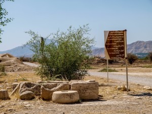 Bishapur (37)       