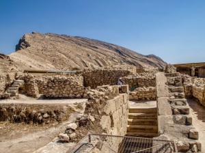 Bishapur (52)        