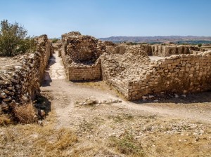 Bishapur (56)        