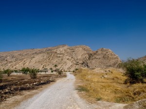 Bishapur (60)        