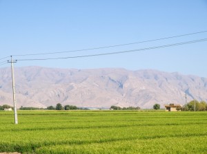 Pasargadae (02) 
