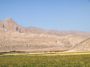Pasargadae (04) 