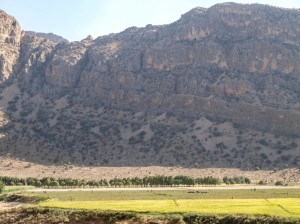 Pasargadae (06) 