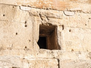 Pasargadae (15) 