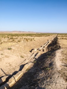 Pasargadae (23)