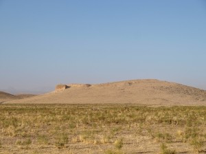 Pasargadae (31)