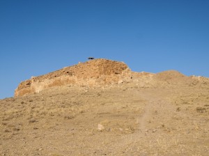Pasargadae (36)