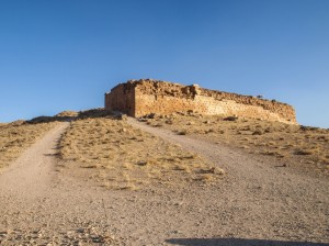 Pasargadae (37)