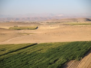 Pasargadae (40)