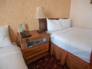 10 Parsian Enqhelab Hotel