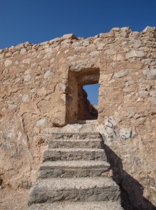 The Towers of Silence (43)