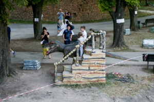 Belgrade Fortress (15)