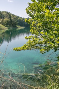Plitvice Lakes (51)