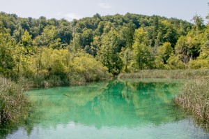 Plitvice Lakes (60)
