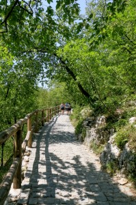 Plitvice Lakes (98)